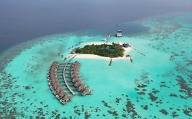 Drift Thelu Veliga Retreat (Adults Only)